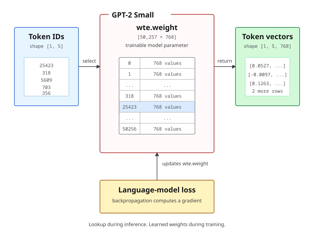 Token IDs select rows from GPT-2's trainable embedding matrix.